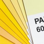 Pantone Swatches