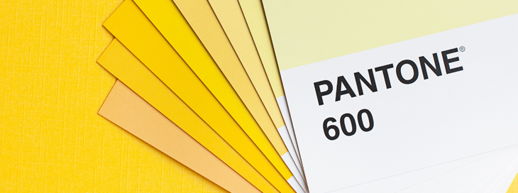 Pantone t best sale