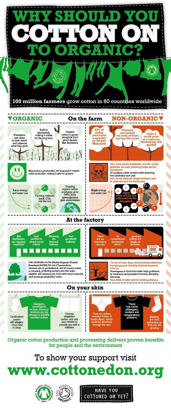 organic cotton infographic