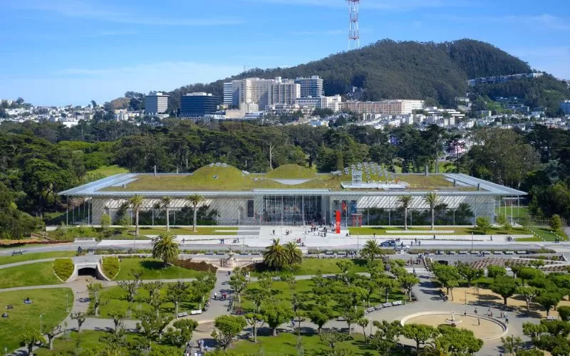 Living Roof The California Academy of Sciences.